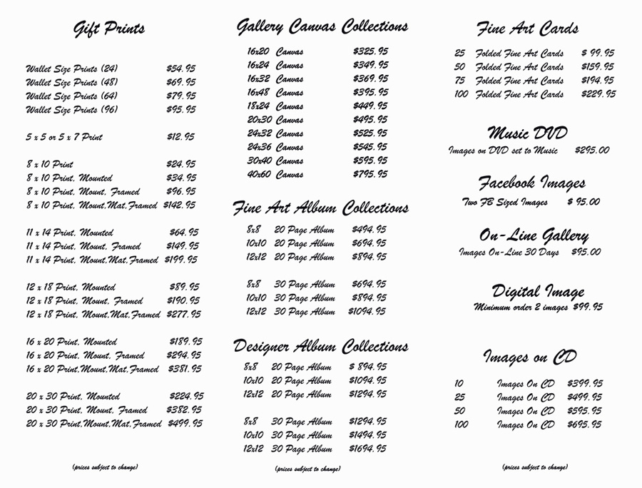 Pricing Options